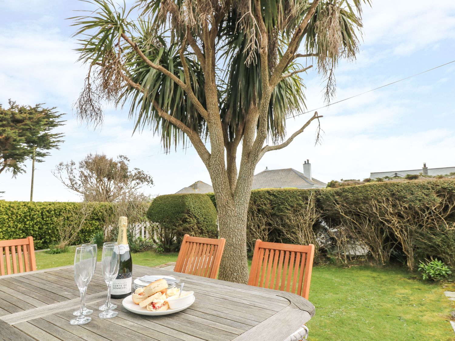 A wooden outdoor table with a bottle of champagne three champagne flutes and a plate with scones in a garden with trees and hedges at Bolenowe in Trebetherick near Polzeath