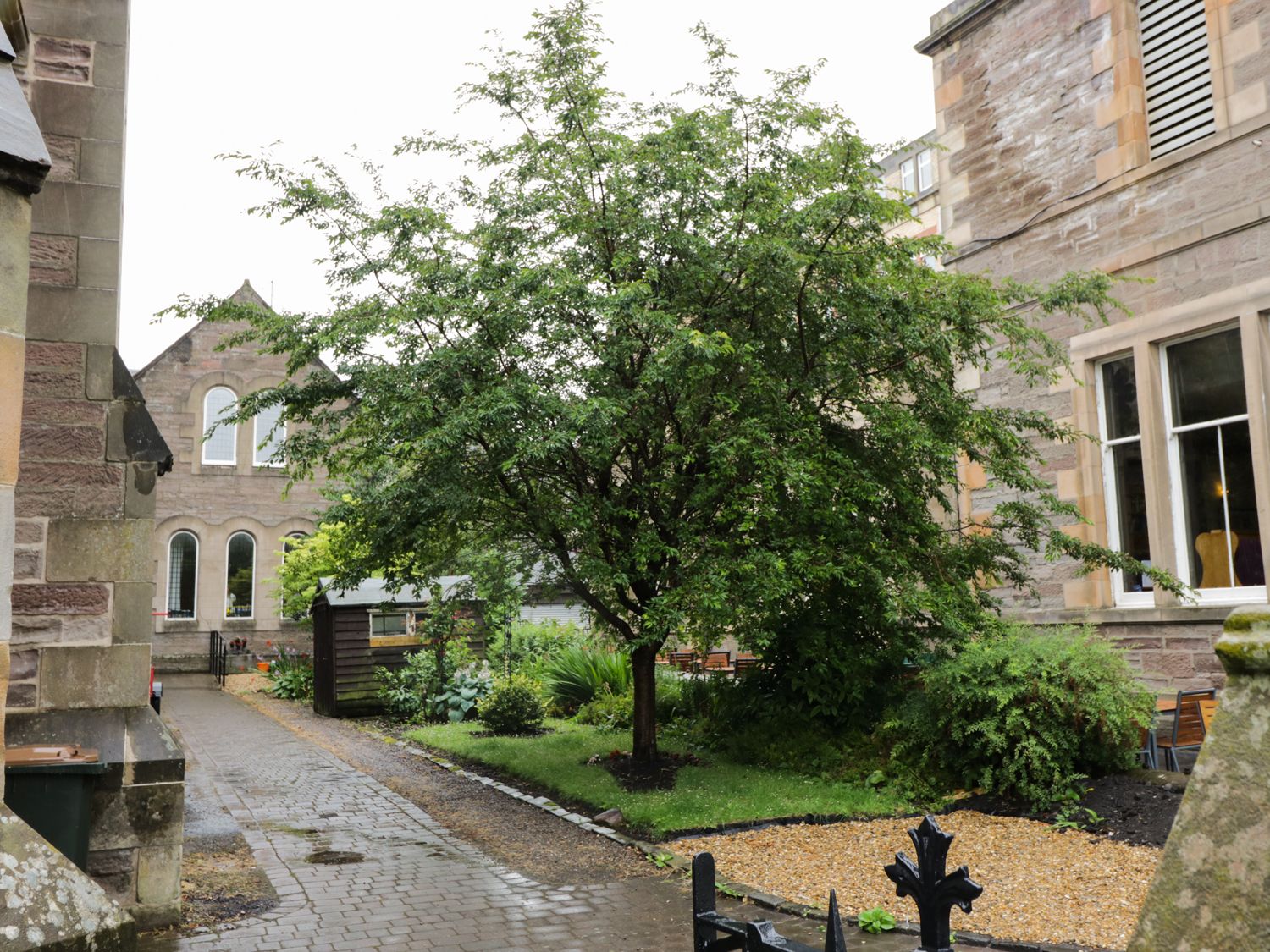 A garden with a tree and plants beside stone buildings with windows at Watergate in Perth