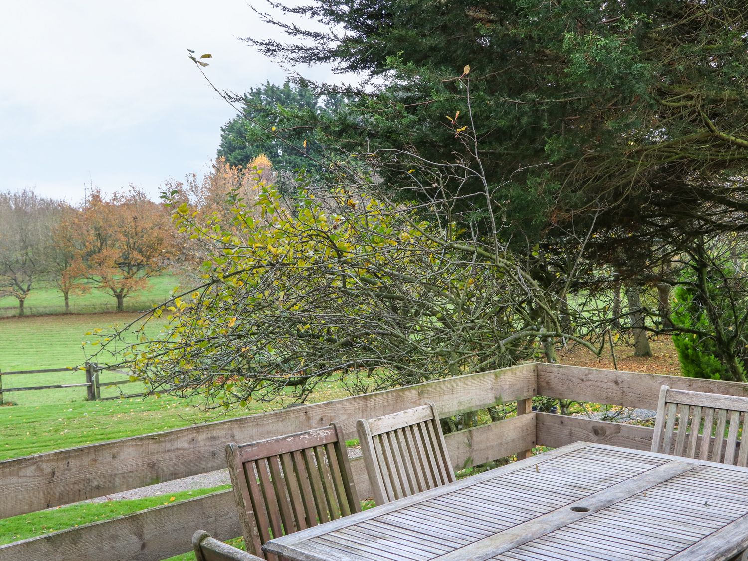 An outdoor wooden table with chairs on a wooden deck surrounded by trees and green fields at Rose Lodge in Milton on Stour