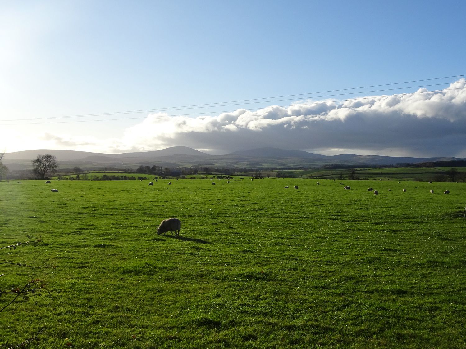 Gamekeepers Cottage                     photo 35