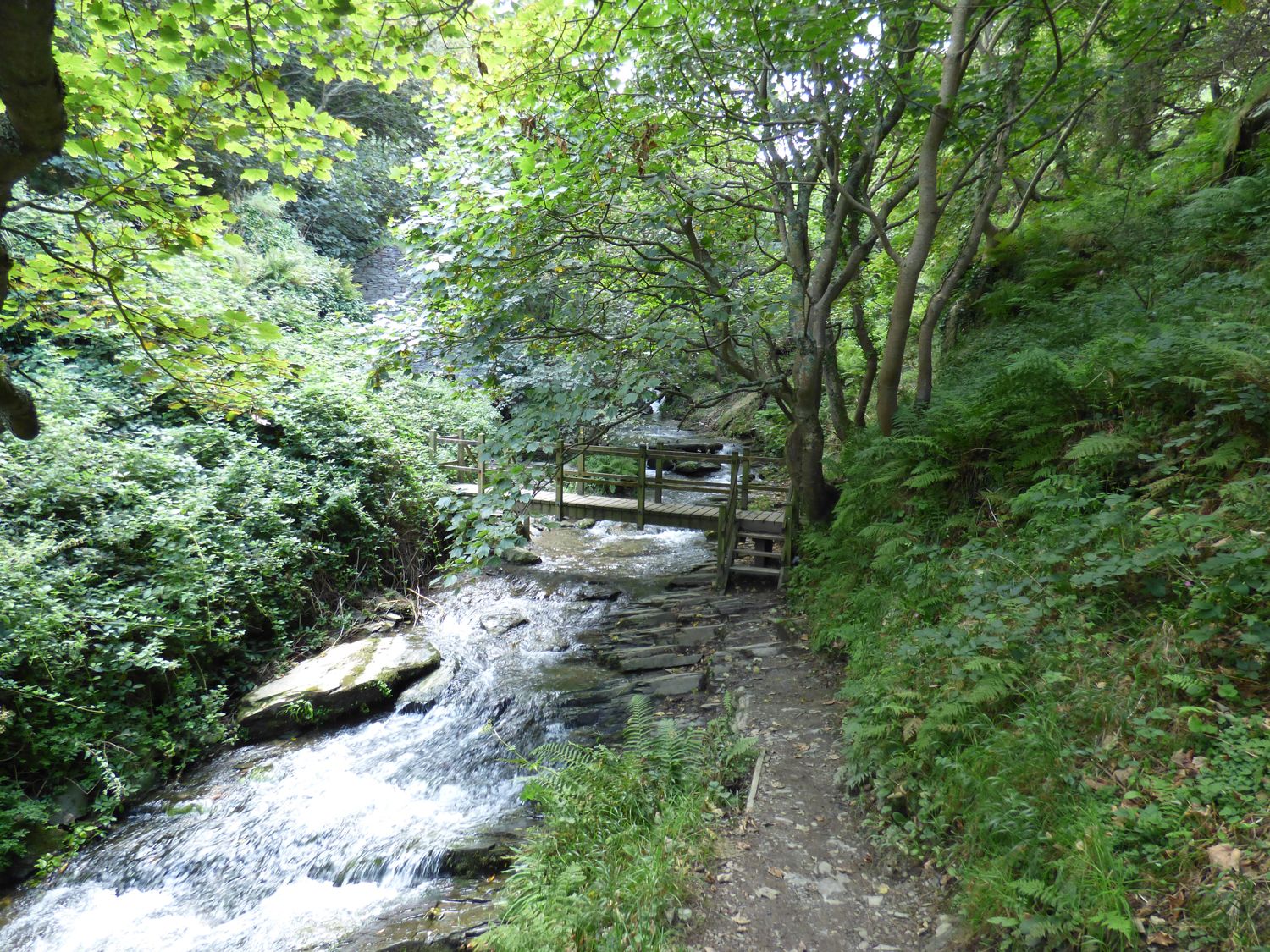 Threshings Cottage                     photo 32