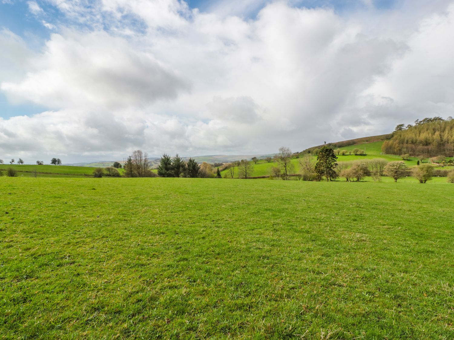 Blaen Henllan                     photo 22