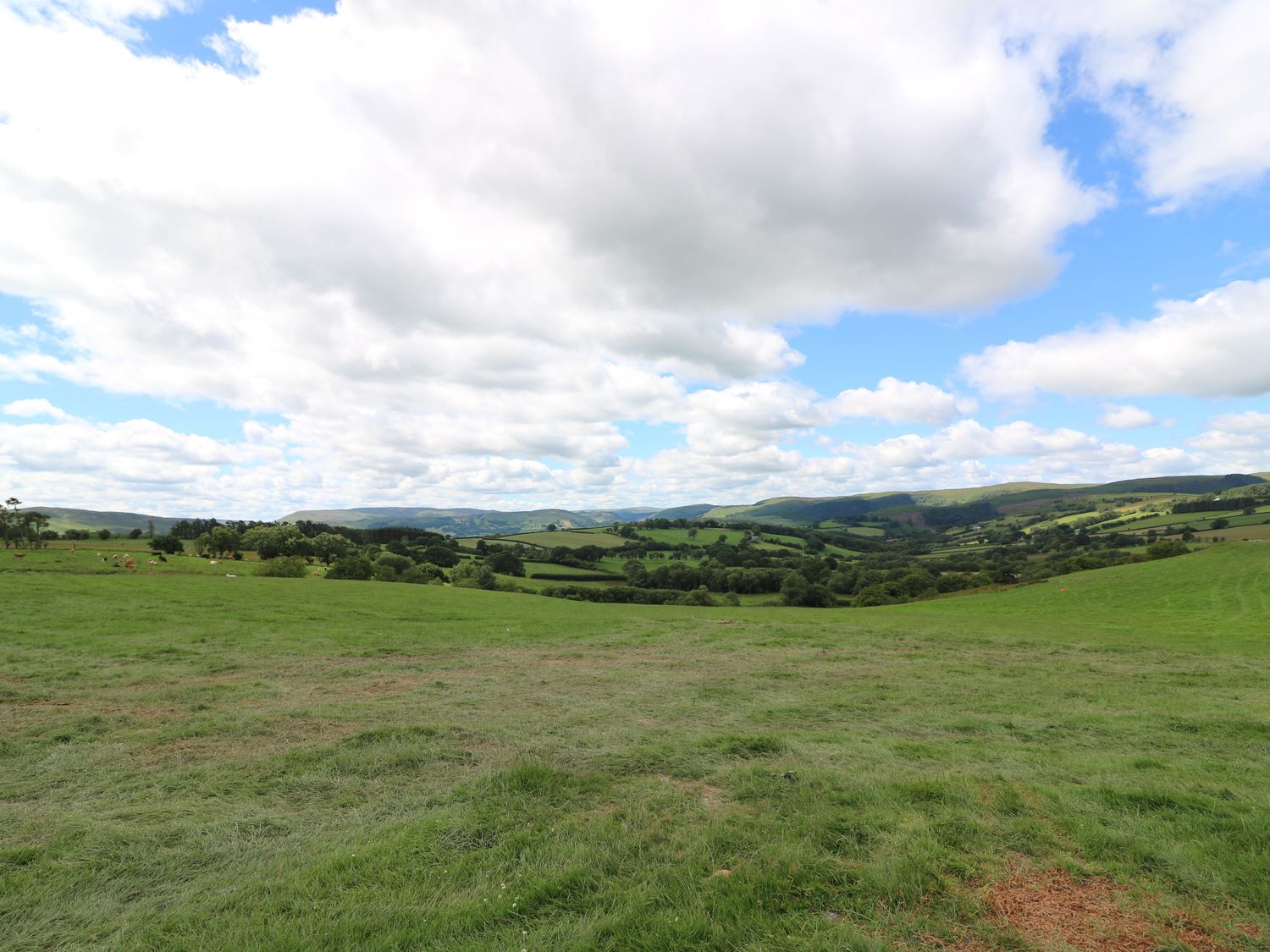A green field with hills trees and clouds in the sky at Shepherds View in Rhayader