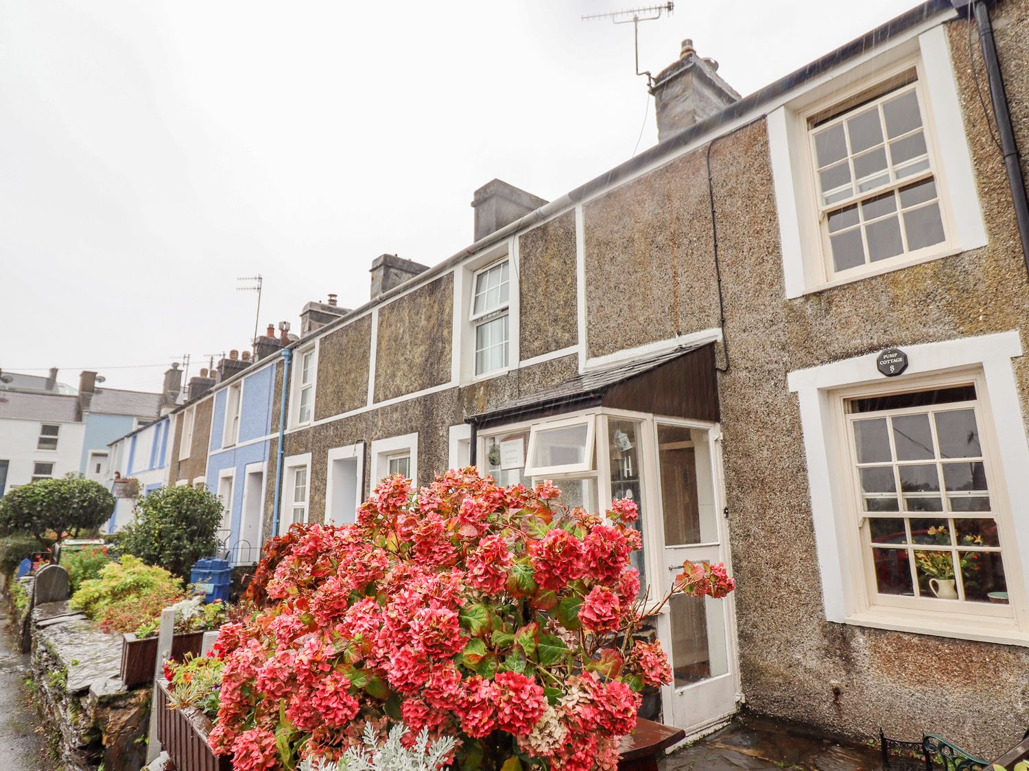 Pump Cottage, 8 Glyn Terrace, Porthmadog Holiday Cottage Bird Spot