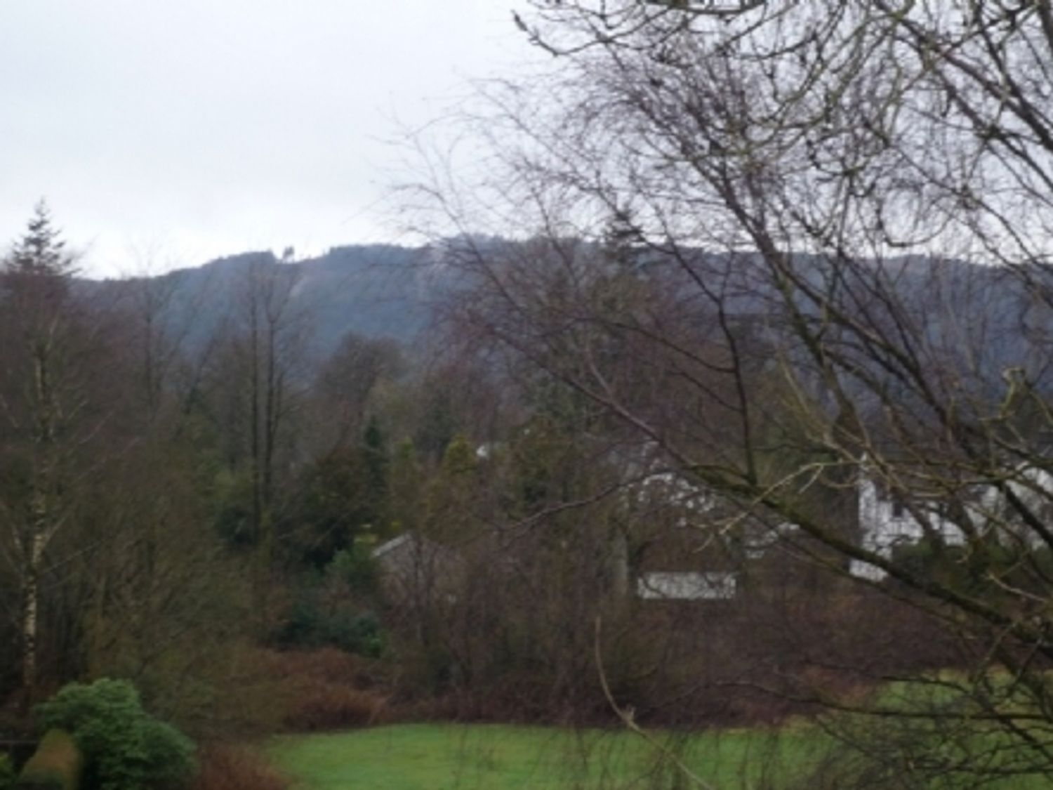 A landscape view with trees bushes grass and hills in the background at Cumbria Court in Windermere