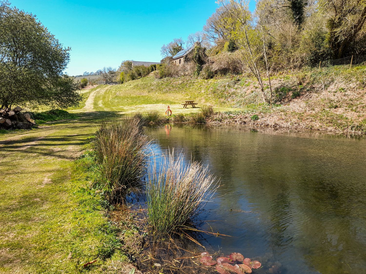 A small pond with grass and reeds beside a grassy path and wooden houses in the background at Bearscombe in Modbury