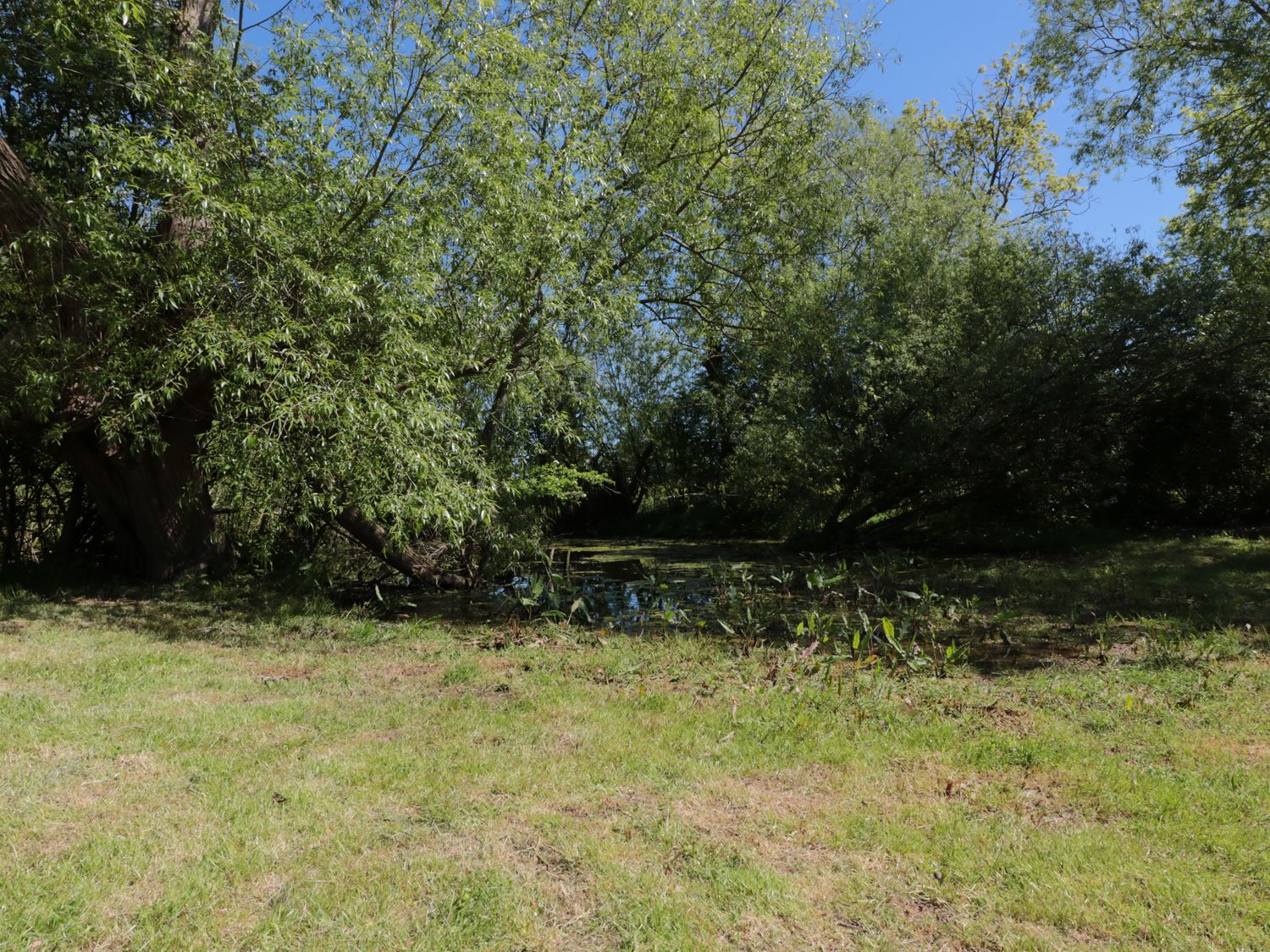 Granary 1                     photo 21