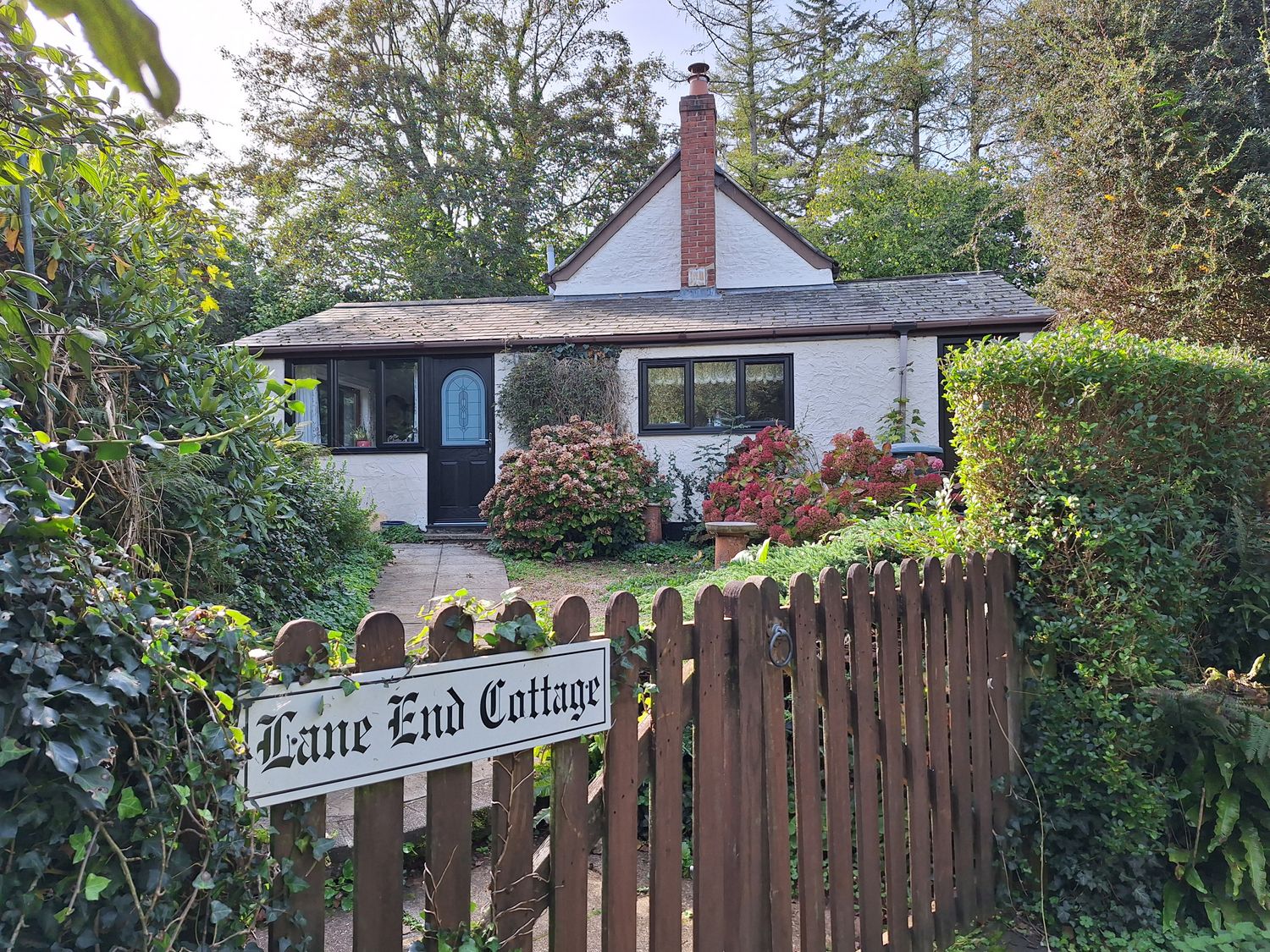 Lane End Cottage - Devon - 974621 - photo 1