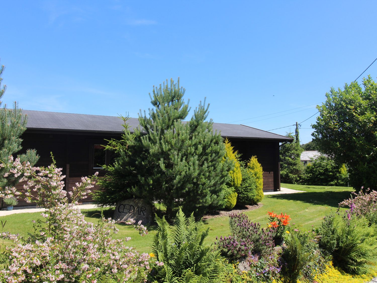 Cedar Lodge                     photo 20