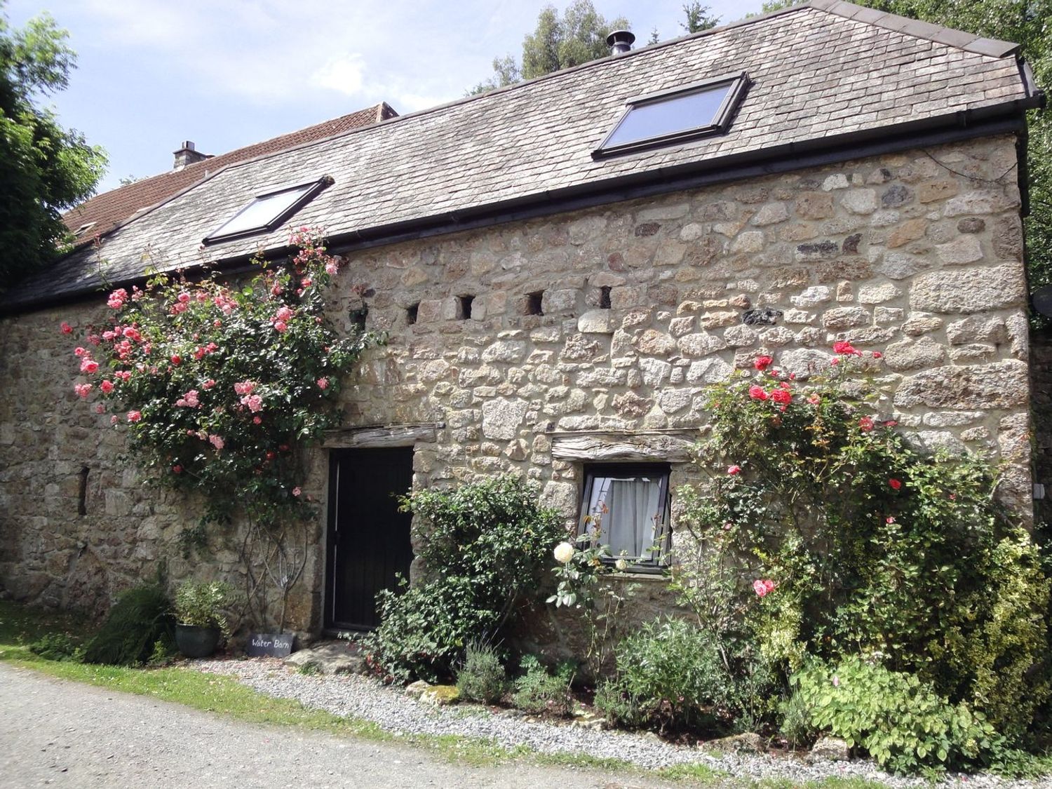 Stone barn exterior with two skylights a black door and window surrounded by rose bushes at Water Barn in Manaton near Lustleigh