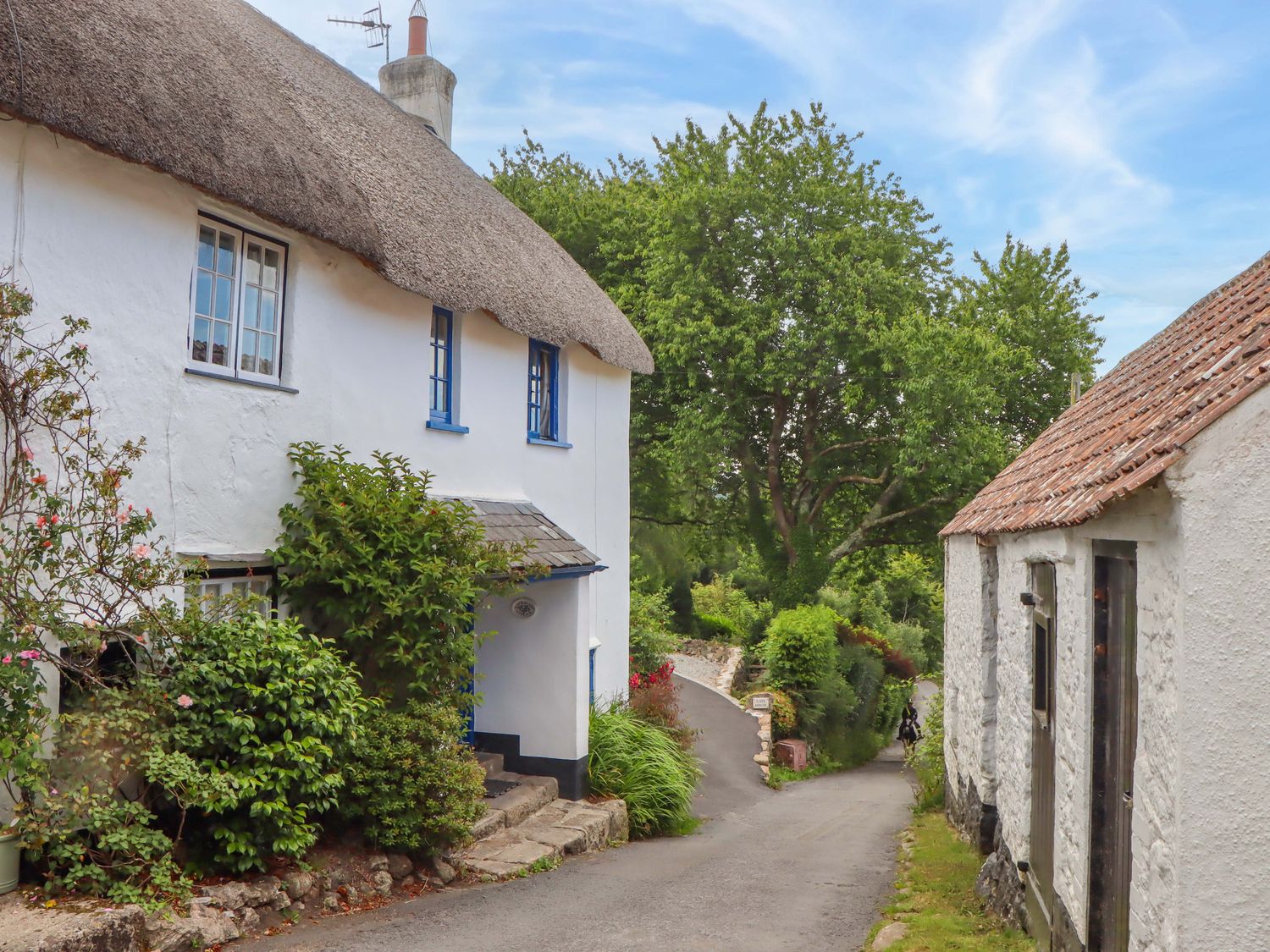 A cottage with a thatched roof and shrubs along the pathway at Little Gate Cottage in North Bovey