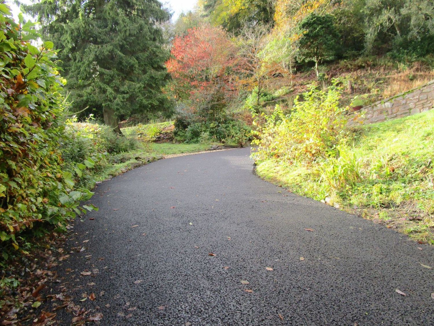 A paved pathway curving through a wooded area with bushes and trees at The Mount in Dulverton