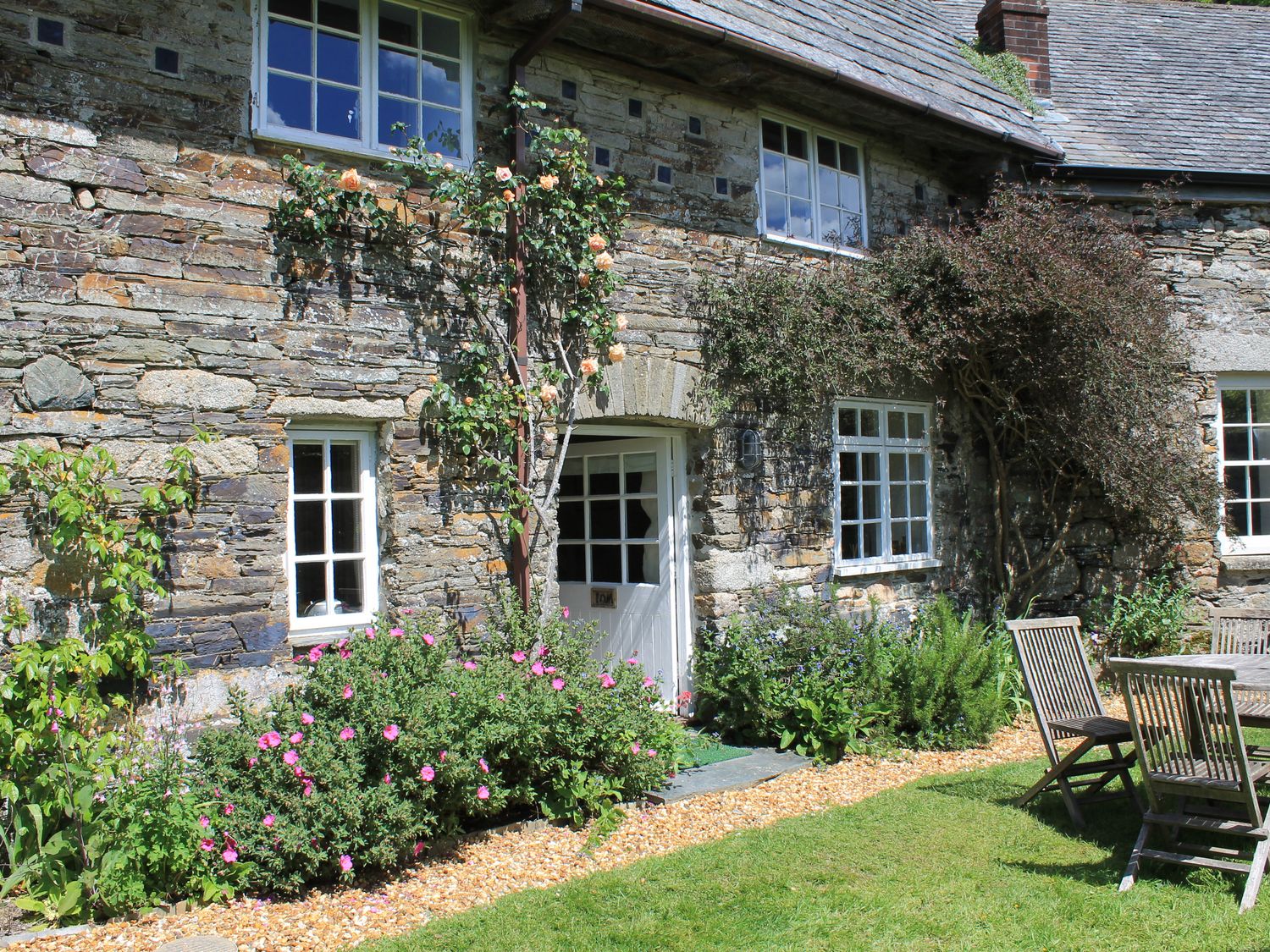 Tom - Cornwall - 976287 - photo 1