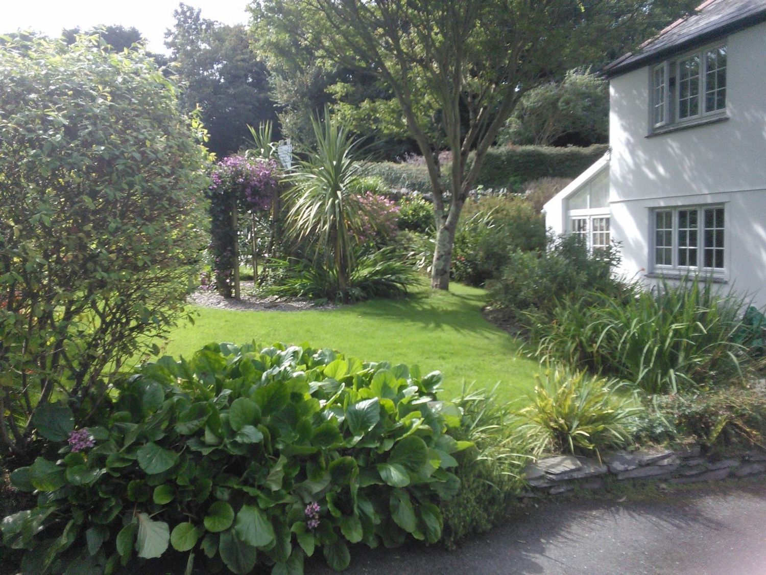 A garden with various plants trees and bushes next to a white two story house at Orchard Lodge in Boscastle