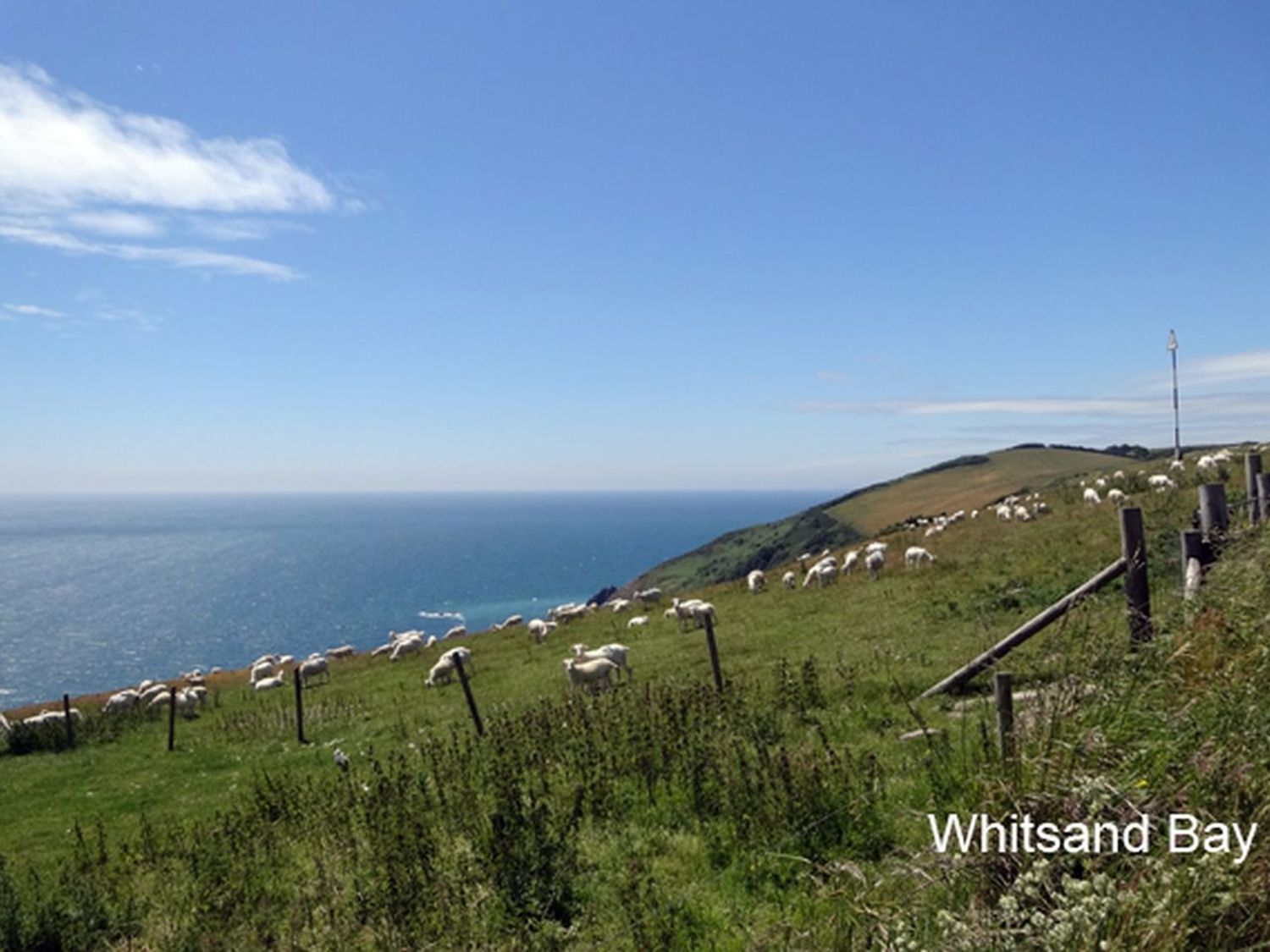 The Captains House                     photo 33