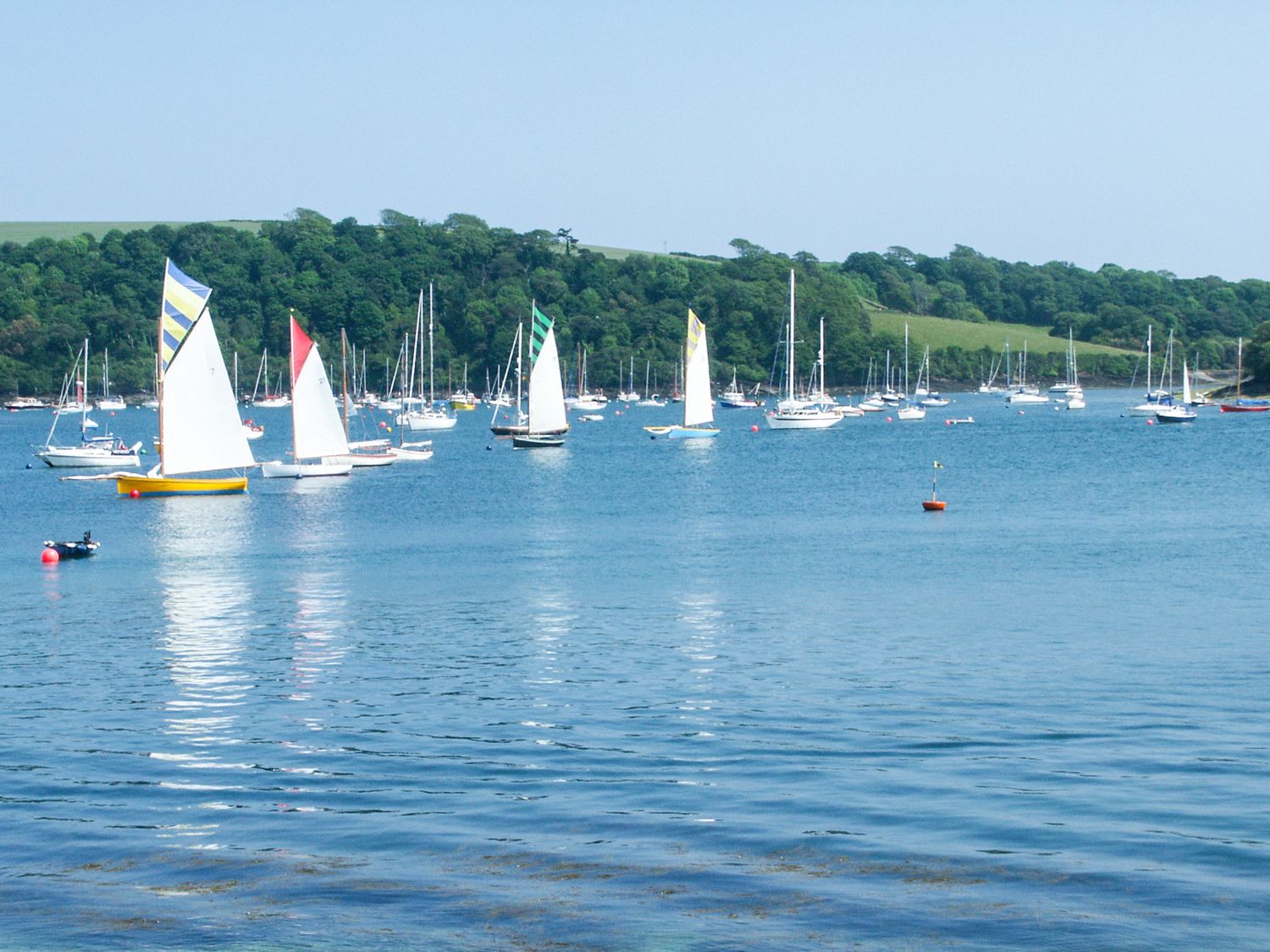 Sailboats on water with forested land in the background at Blue Seas in St Mawes