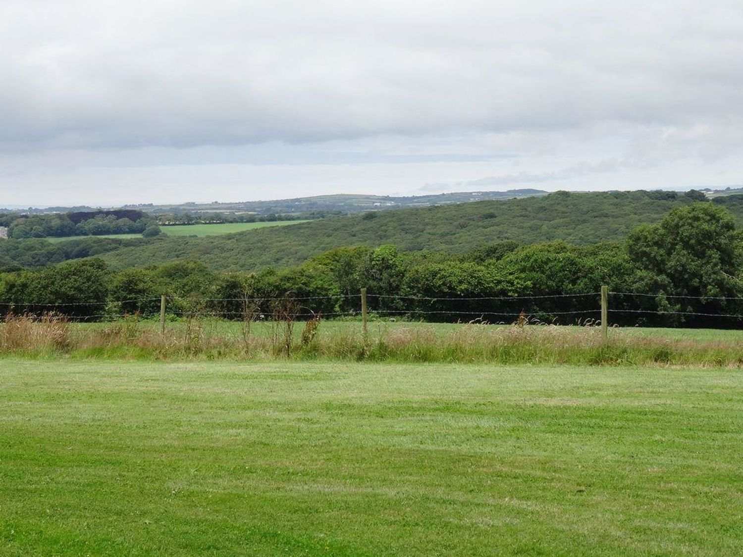 A grassy field with a wire fence and a forested area in the background at Badger Cottage in Mawgan-in-Meneage near Helston