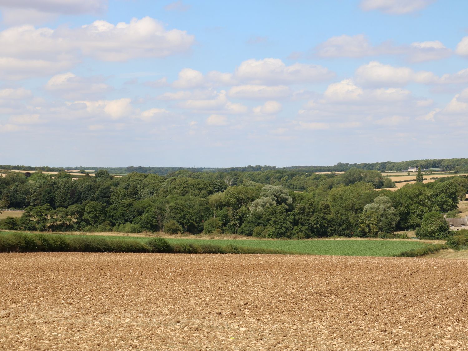 A plowed field with trees and green patches under a cloudy sky at Clipsham in Exton Rutland