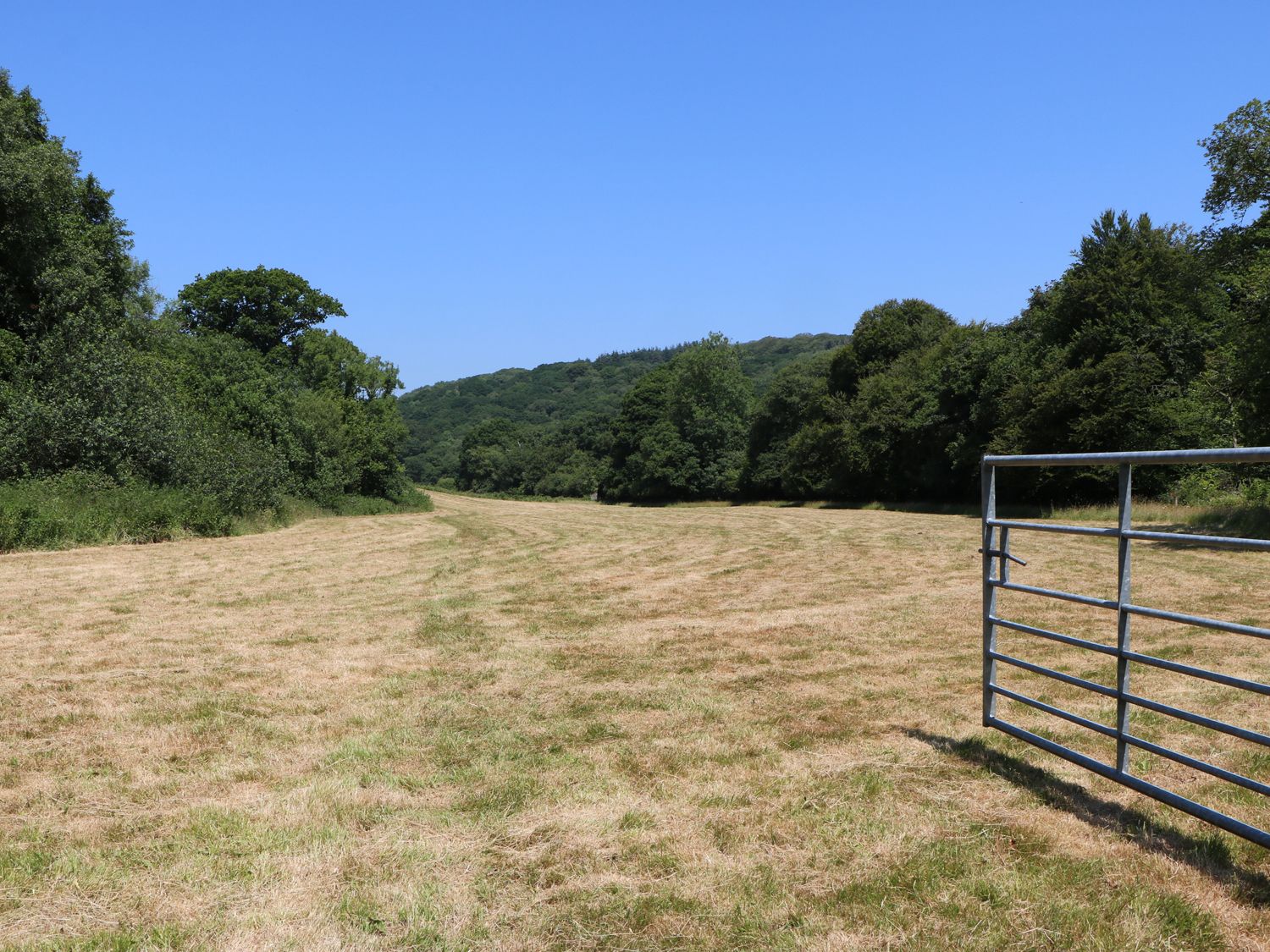 A grassy field with trees on both sides and a metal gate on the right at The Cider Barn in Loddiswell