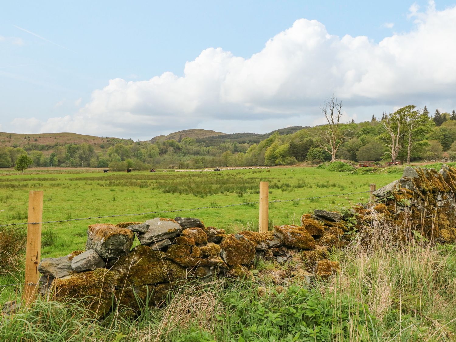 A green field with a stone fence and barbed wire with hills and trees in the background at Seaview-Barsloisnach Cottage in Kilmartin