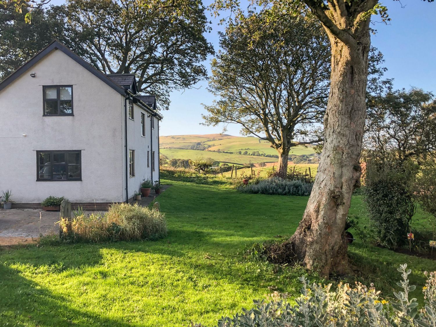 Garth Cottage - North Wales - 984437 - photo 1