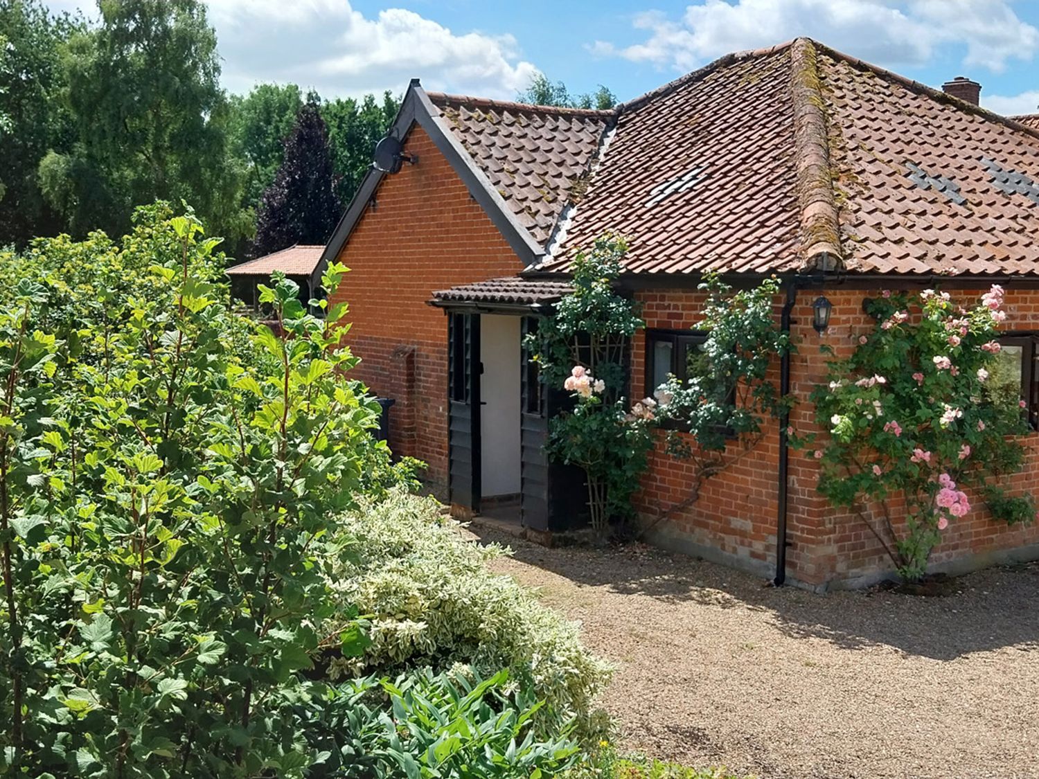 An outdoor view of a house with plants and trees at Lowbrook Cottage Dickleburgh near Diss