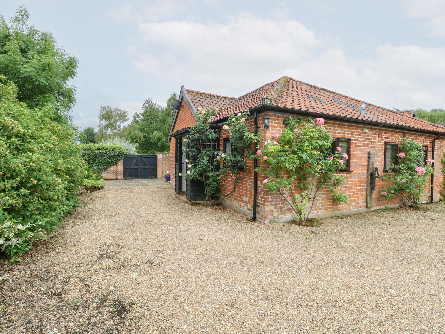 A house with rose bushes near a gravel driveway at Lowbrook Cottage Dickleburgh near Diss