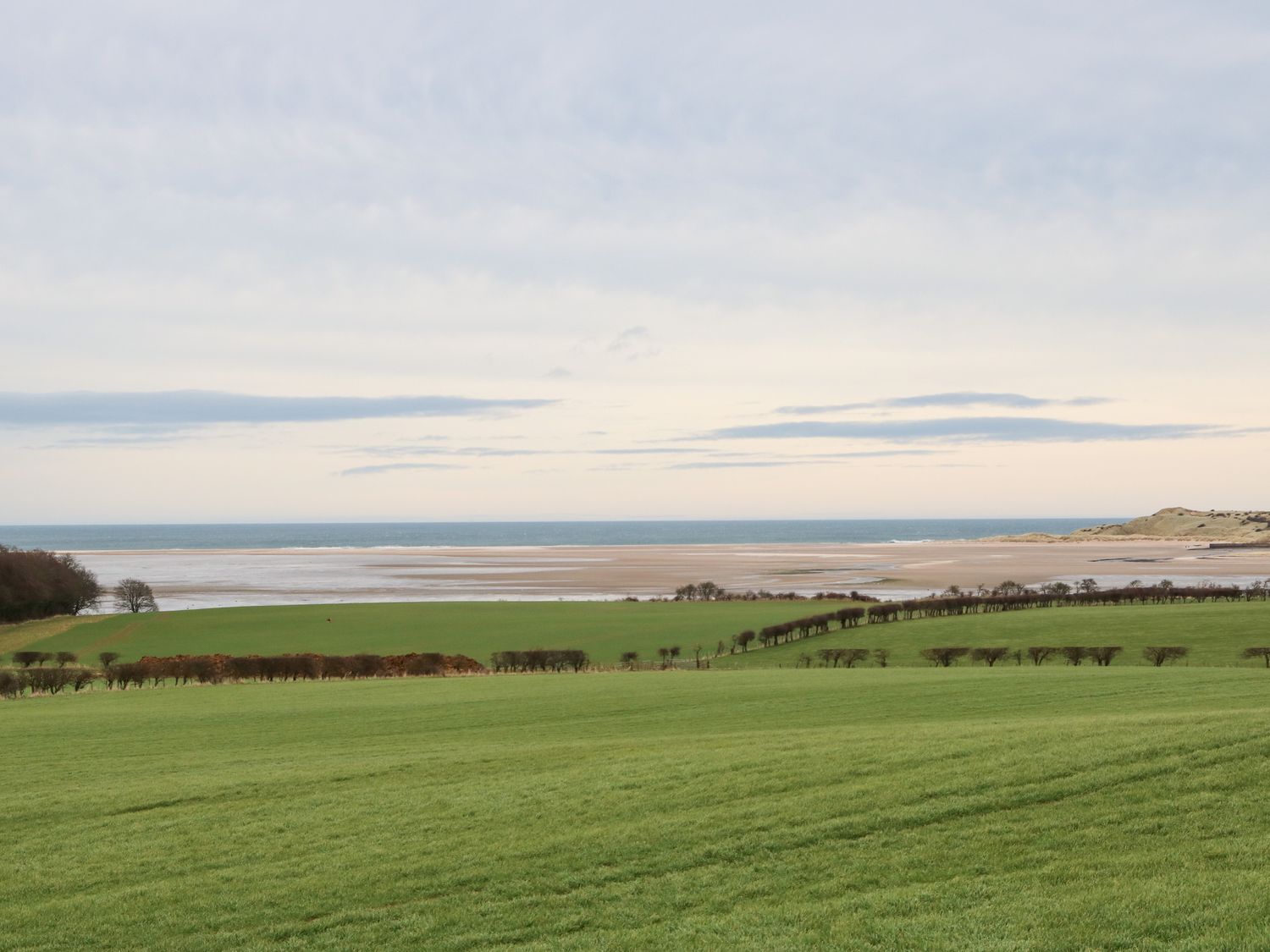 An open green field with hedgerows and a view of the beach and sea at Bay View Waren Mill near Bamburgh