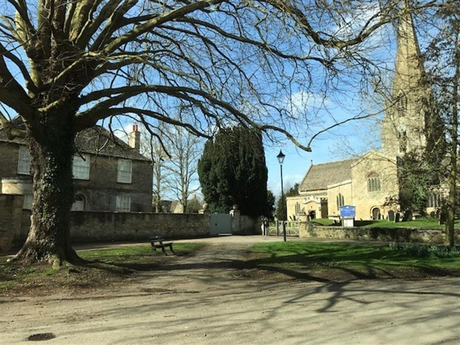 A large tree and a bench near a stone building and a church with a tall steeple in Bampton