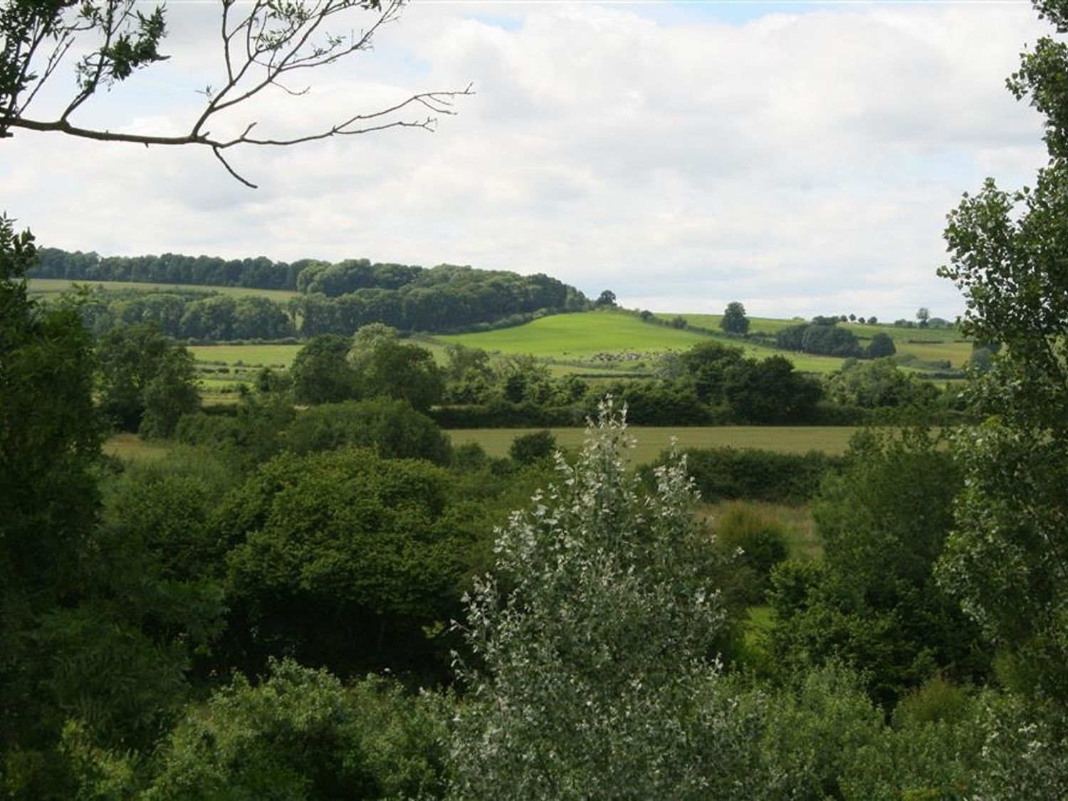 A landscape of rolling green hills and dense trees at Elm View in Chipping Campden