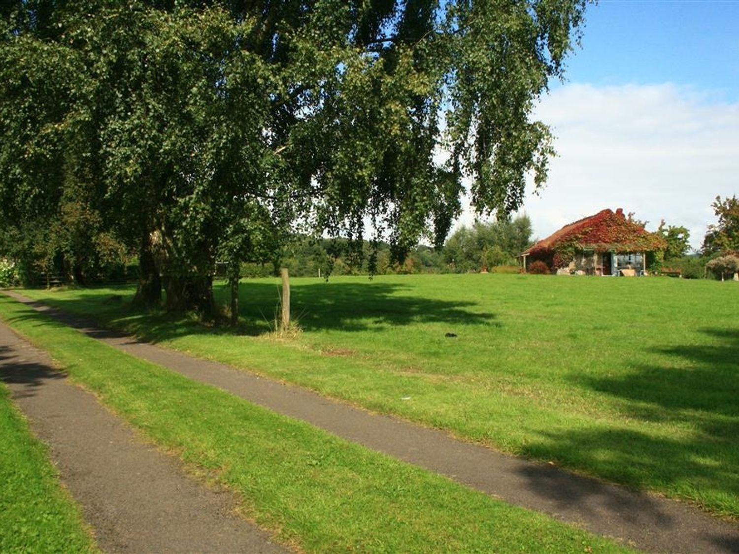The Piggery                     photo 29