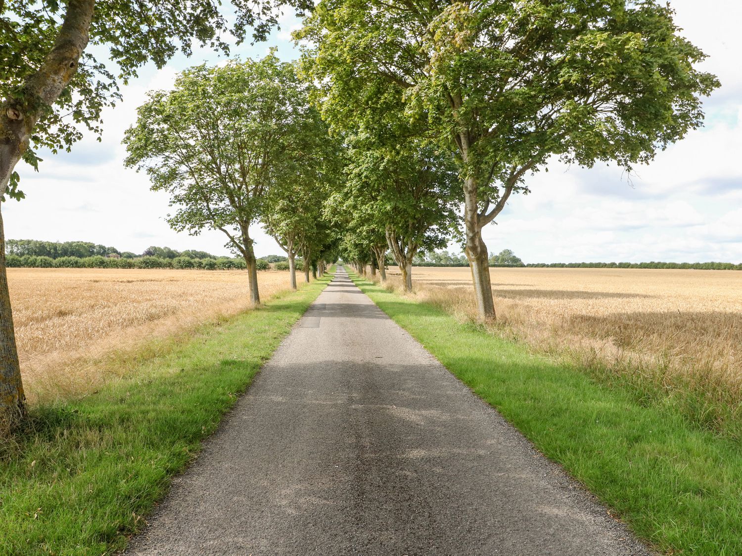 Home Farm (16) photo 68