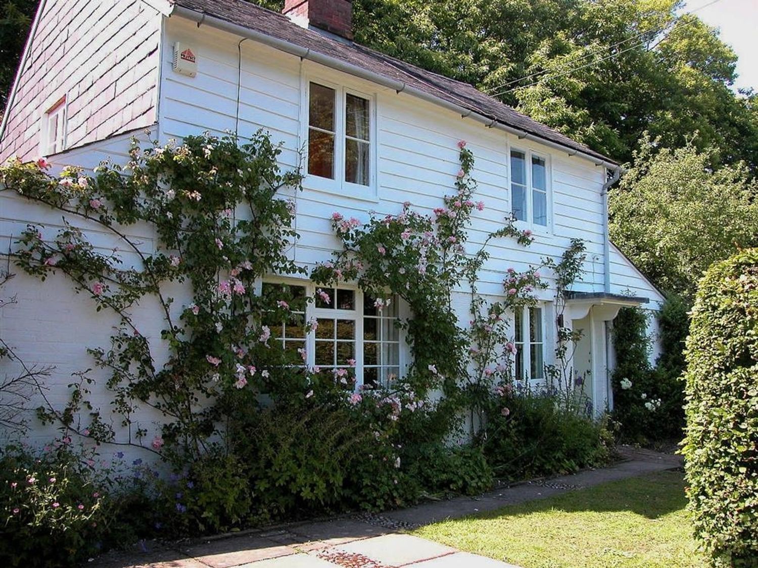 Gun Hill Cottage - Kent & Sussex - 988889 - photo 1