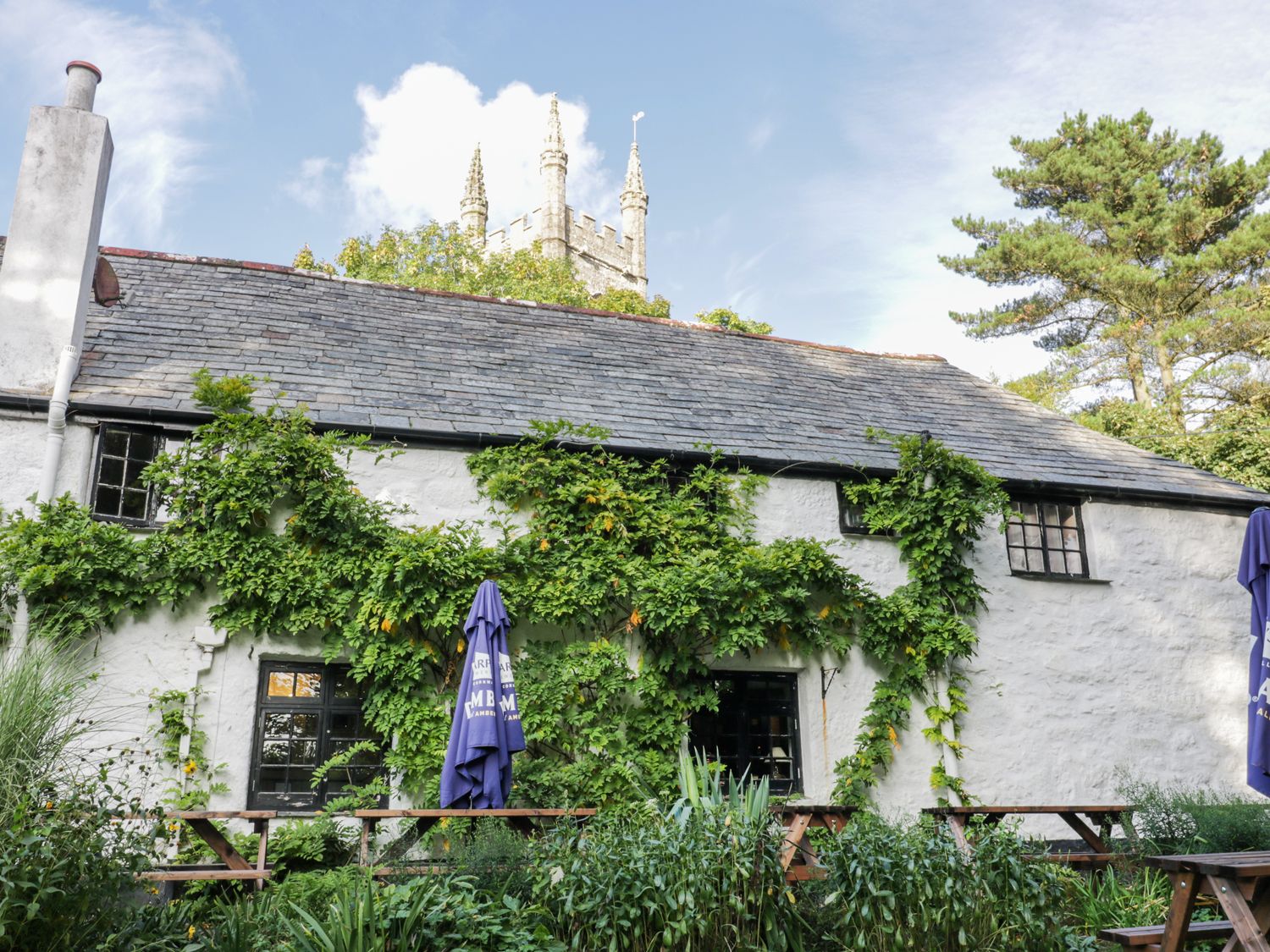Crift Farm Cottage                     photo 16