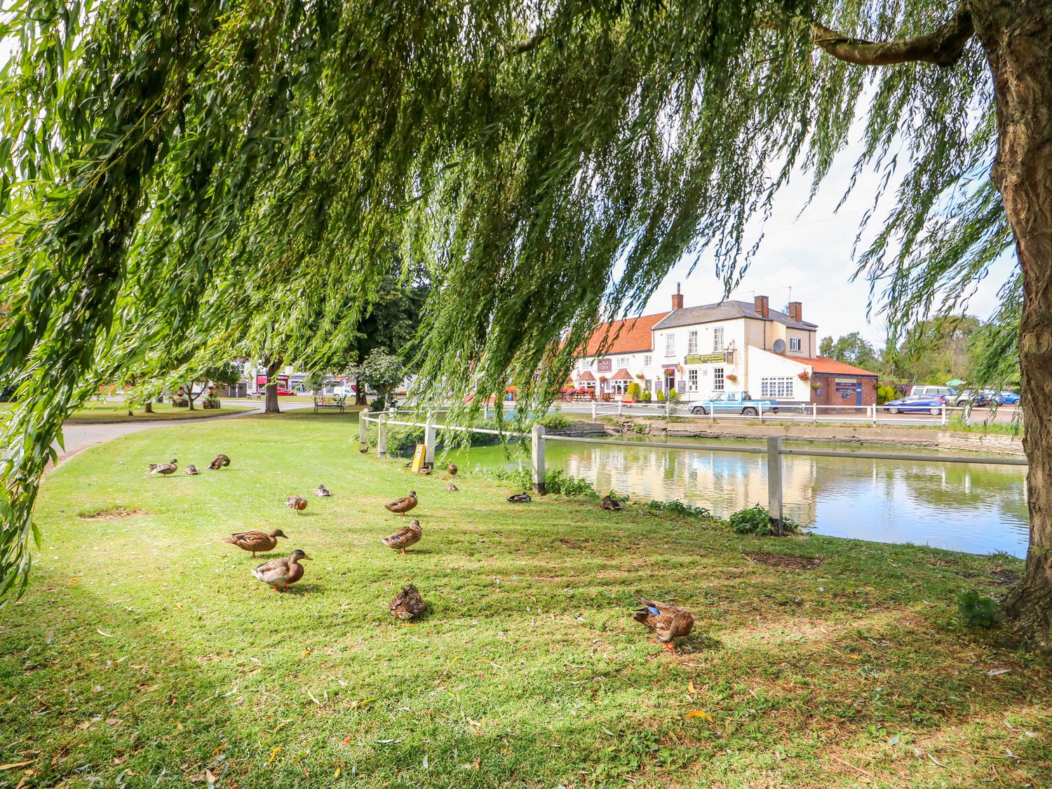 A park area with ducks on grass near a river and buildings in the background at Coorie Cottage in Martham
