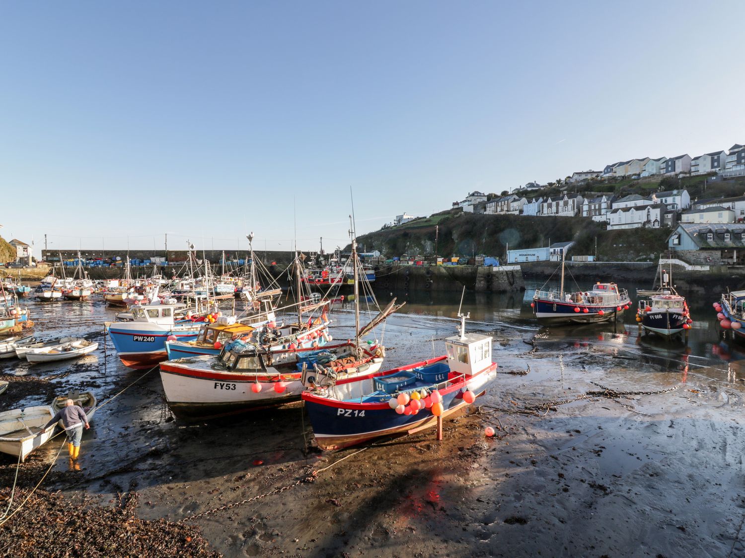 Midships                     photo 19