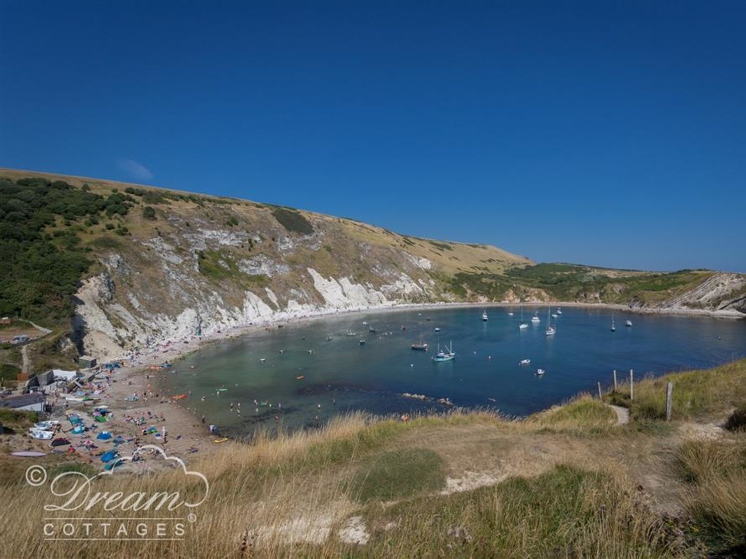 Jurassic View photo 20