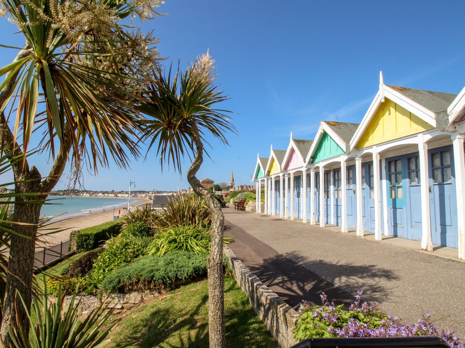 A row of colorful beach huts next to a path with plants and palm trees by the seaside at Lychgate Cottage in Osmington