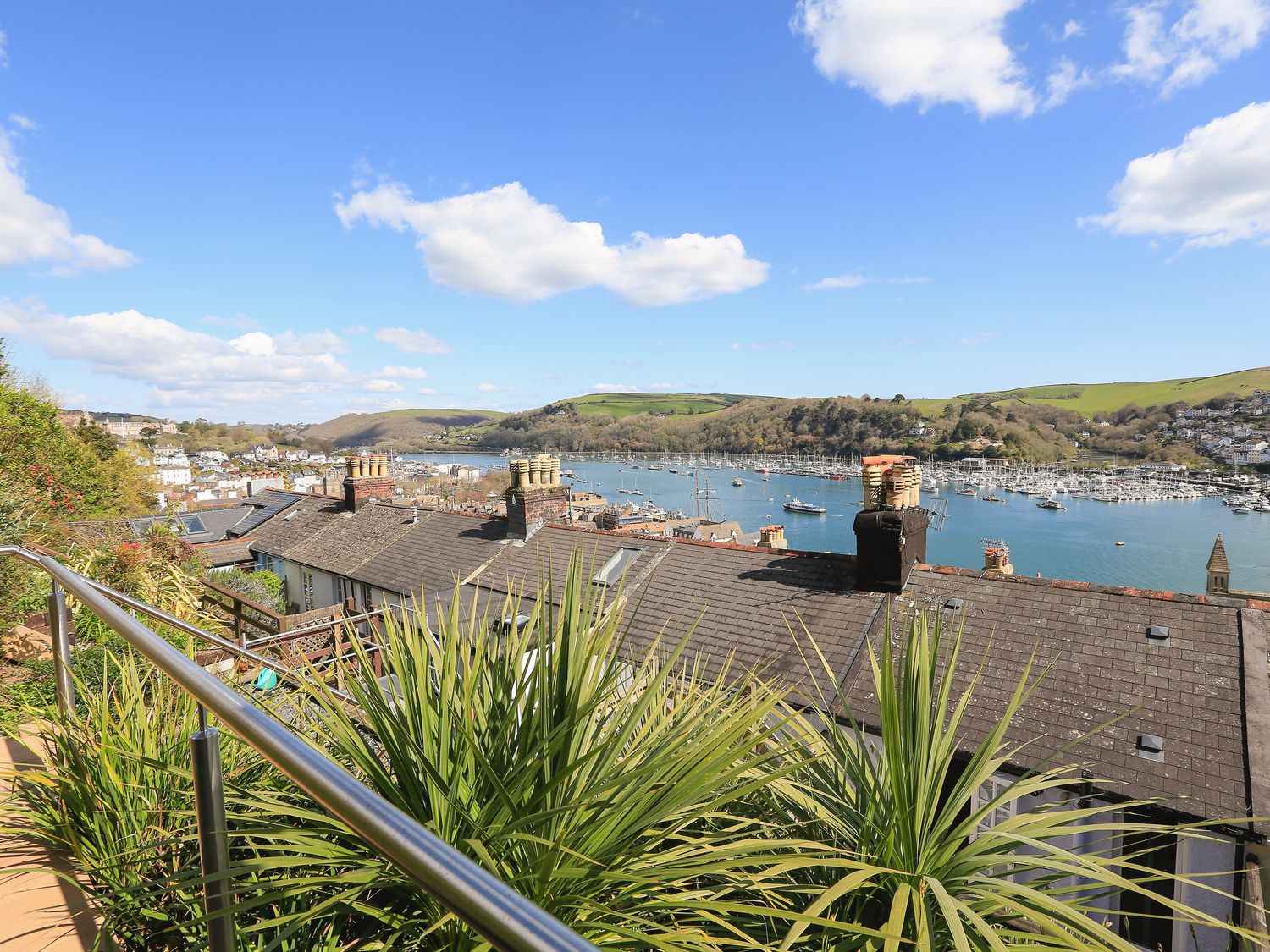 Dart Views                     photo 2