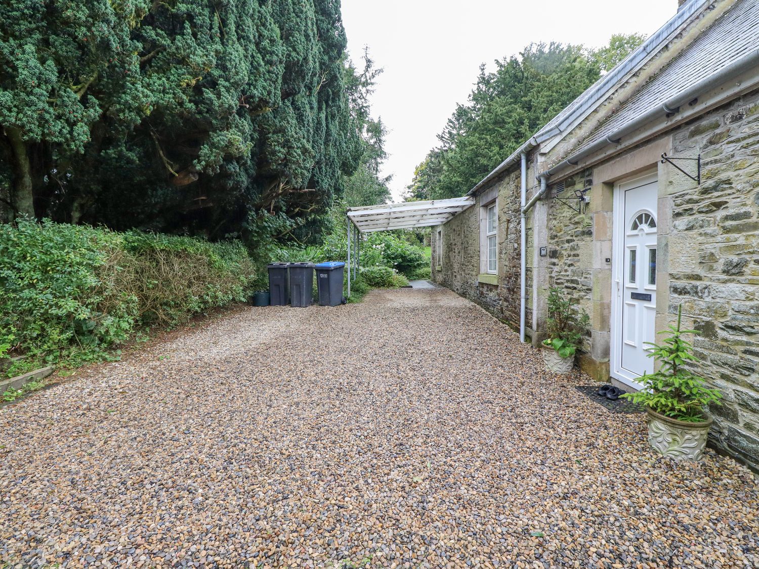 Colterscleuch Cottage - Scottish Lowlands - 995949 - photo 1