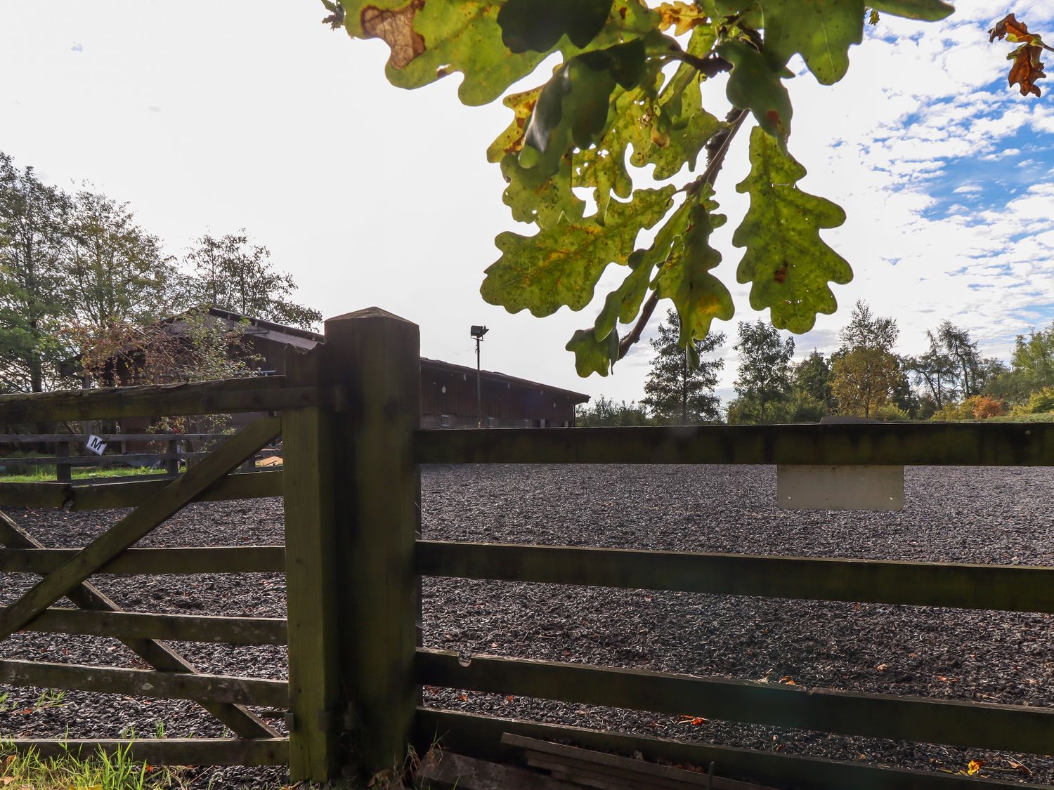 A fenced outdoor area with woodchip ground and a barn behind trees at Roe Deer Country Retreat in Clitheroe