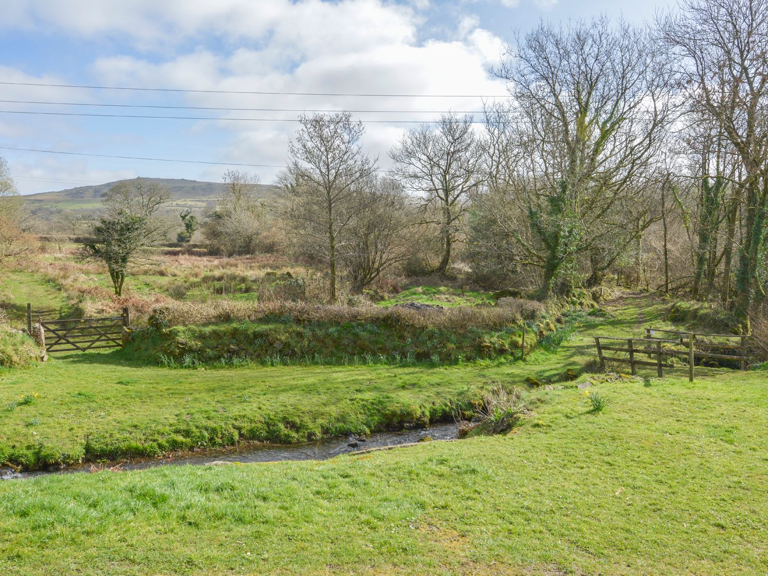 A grassy field with a small stream a wooden gate and trees in the background at East Cleave in Bridestowe