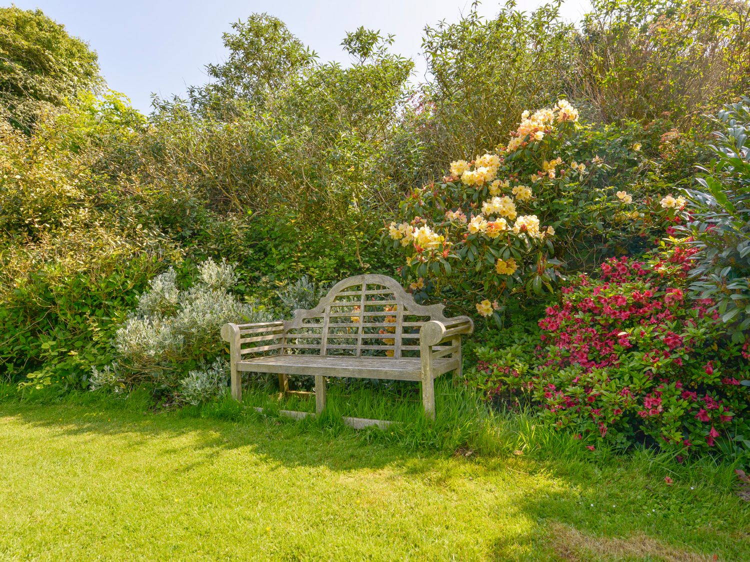 A wooden bench on grass surrounded by flowering bushes in a garden at The Linney in Littleham
