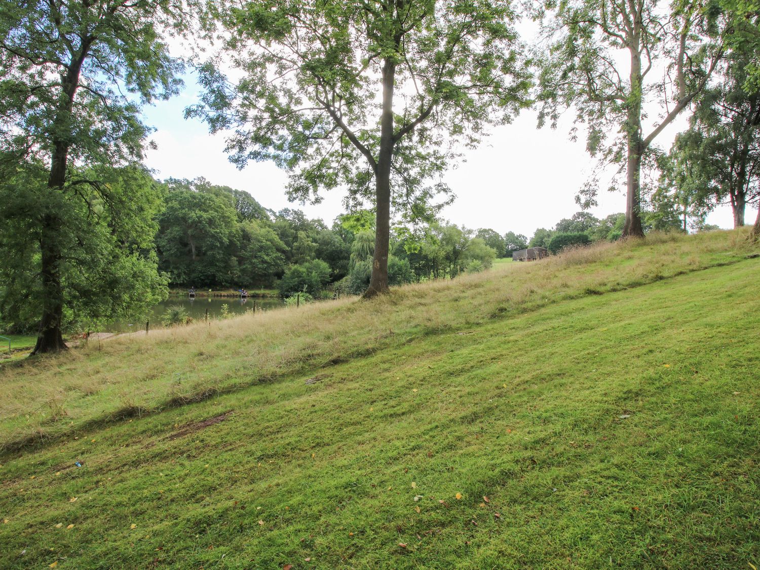 A grassy hillside with trees and a small lake in the background at Shatterford Lakes in Shatterford