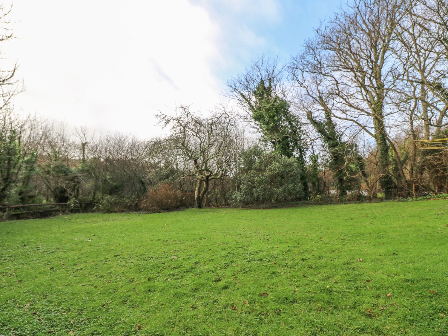 A grassy garden area with various trees and shrubs at Lampra Mill Cottage in Mullion