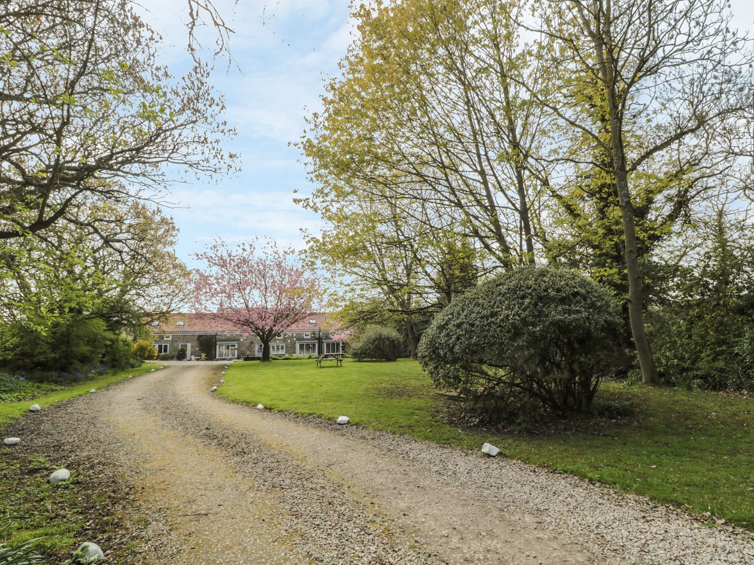 Magpie Cottage                     photo 27