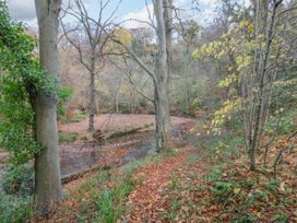 Orchid Lodge - North Yorkshire (incl. Whitby) - 1000353 - thumbnail photo 26