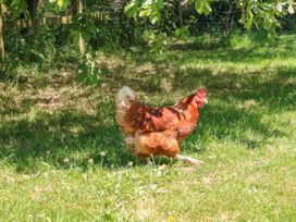 The Old Mill Holiday Cottage - Devon - 1001015 - thumbnail photo 35