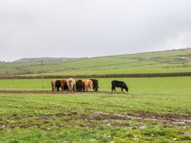 Ty Mynydd Cottage - North Wales - 1001468 - thumbnail photo 19