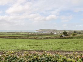 Ty Mynydd Cottage - North Wales - 1001468 - thumbnail photo 20